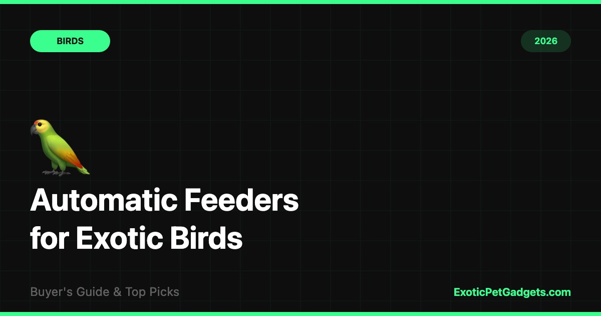 Auto Feeders for Birds