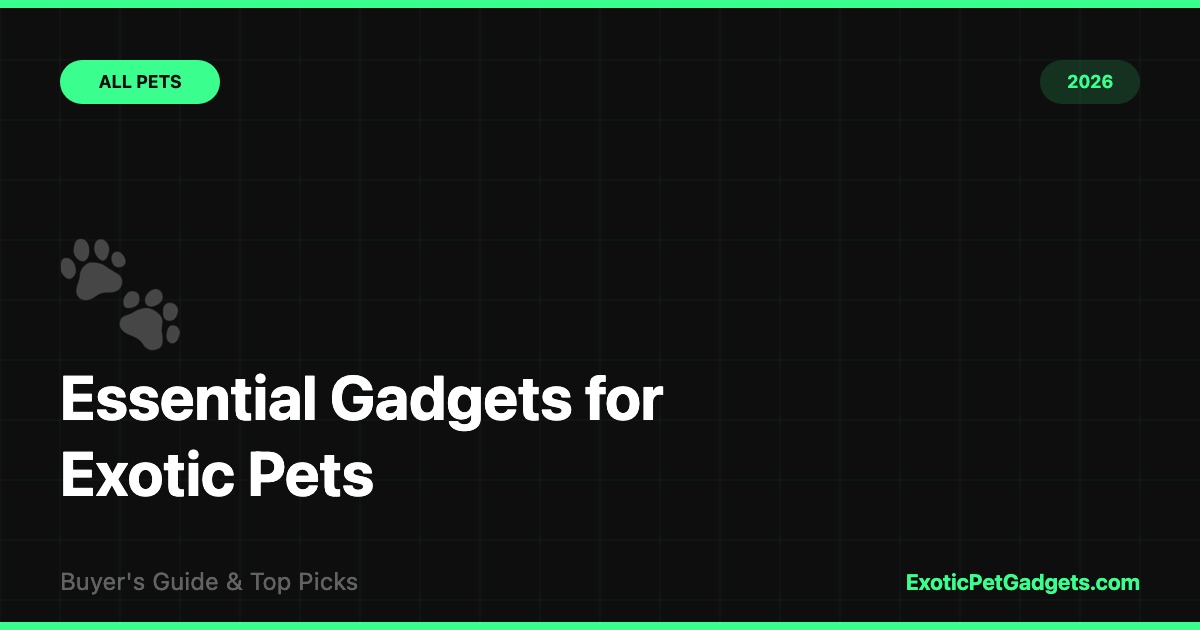Essential Exotic Pet Gadgets