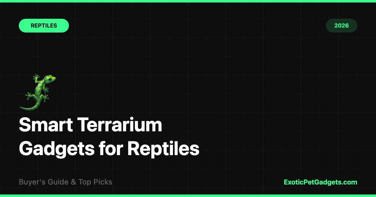 Terrarium Gadgets for Reptiles